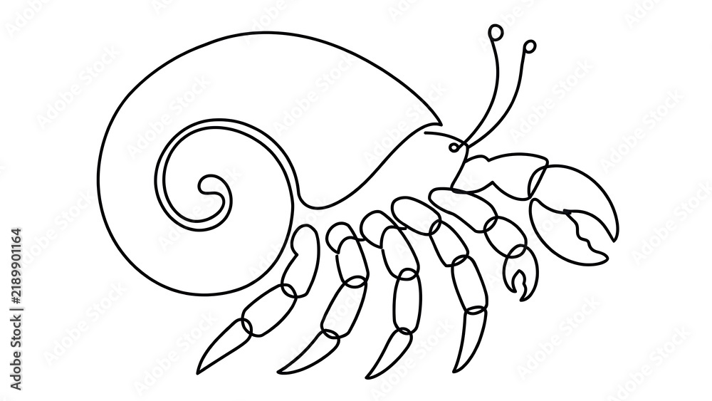Fototapeta premium Hermit crab white background.