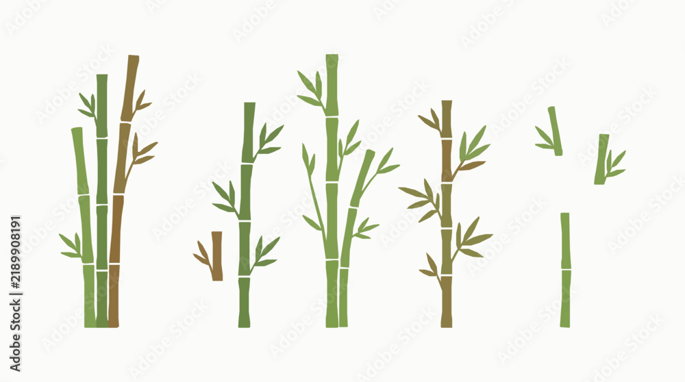 Obraz premium Minimal Bamboo Stems and Plants Botanical Collection