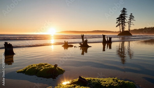 Five Trees on Small Coastal Island at Golden Sunset