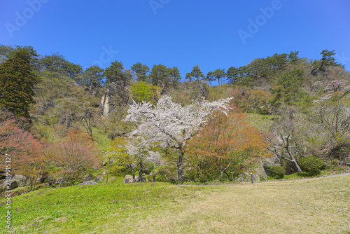 Fotografía きみまち阪県立自然公園