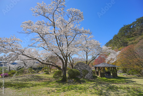Fotografie きみまち阪県立自然公園