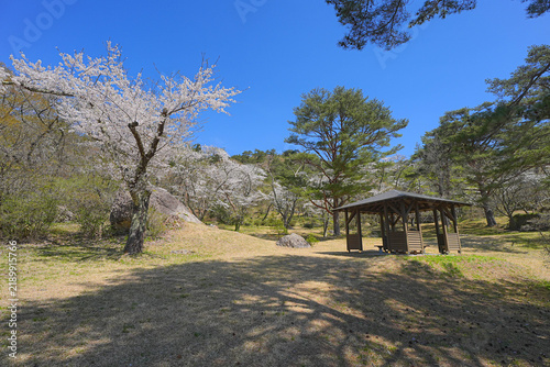 Fotografía きみまち阪県立自然公園