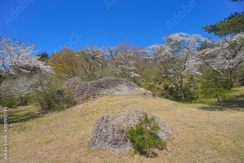 Cuadro en lienzo きみまち阪県立自然公園
