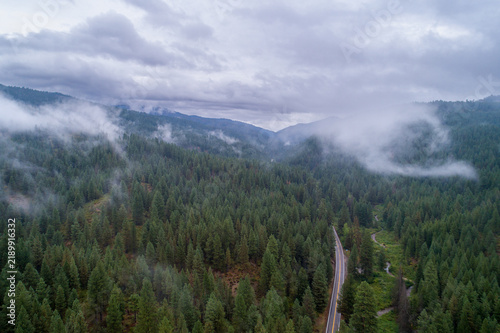 Forest road disappears into misty mountains
