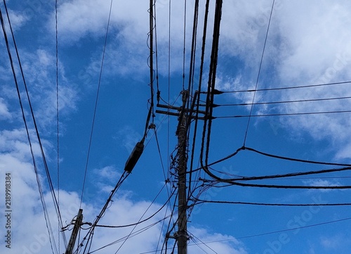 Canvastavla 青空を背景に広がる電線