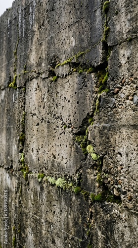 Fototapeta wall texture background
