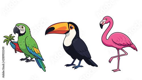 Three colorful tropical birds: a green parrot holding a palm frond, a toucan with a large beak, and a pink flamingo standing on one leg.
