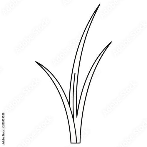 Stylized grass illustration