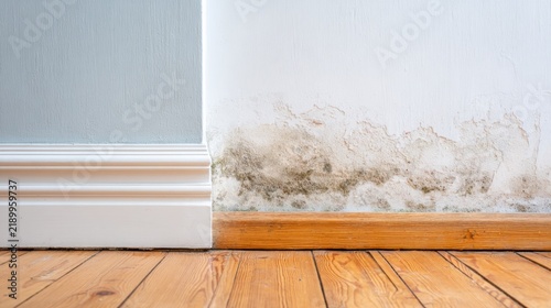 A Close-up of Water Damage and Mold Growth at the Base of a Wall, Highlighting the Effects of Humidity on Interior Spaces