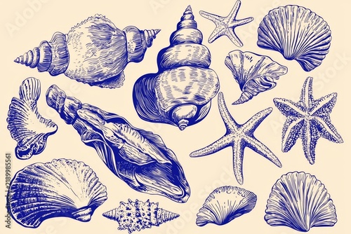 Artistic representation of marine life through seashells and starfish. 