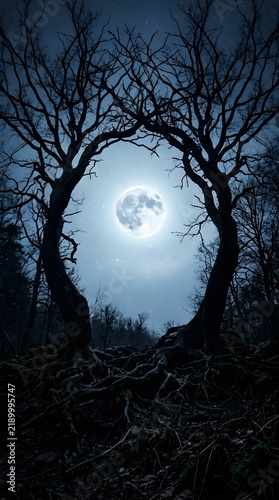 Eerie symmetrical trees forming natural circular portal framing glowing full moon at spooky night.