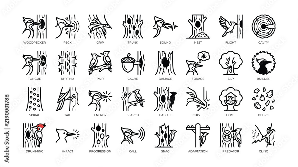 Obraz premium Black And White Woodpecker Behavior And Habitat Icon Set With Transparent Background Featuring Various Actions And Concepts