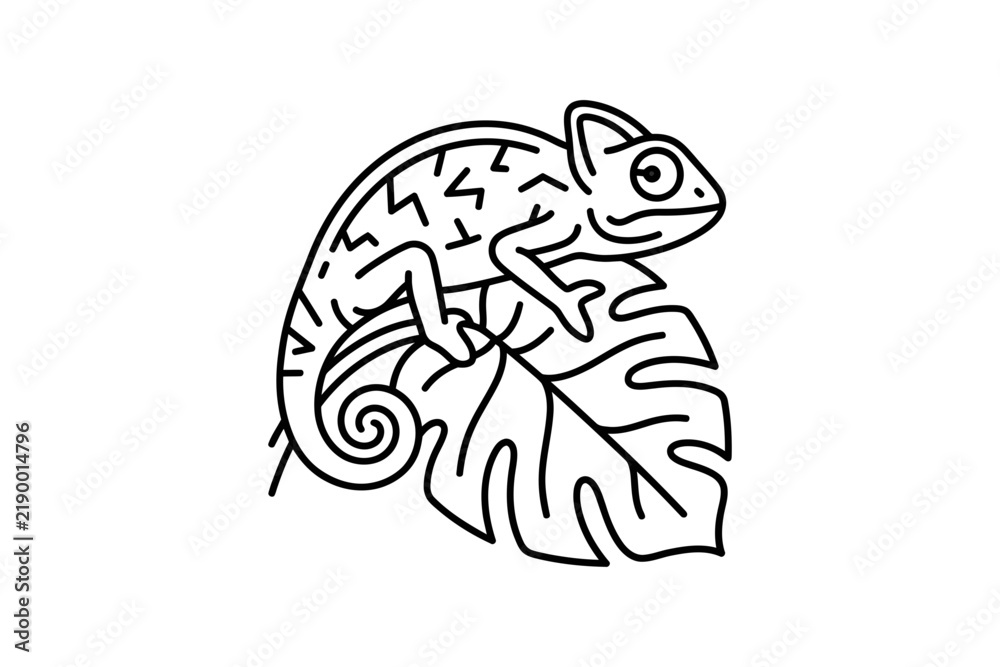 Fototapeta premium Chameleon on Monstera Leaf Outline Vector