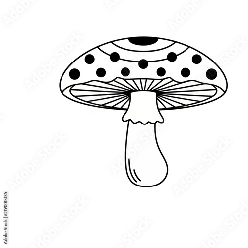 Mushroom illustration