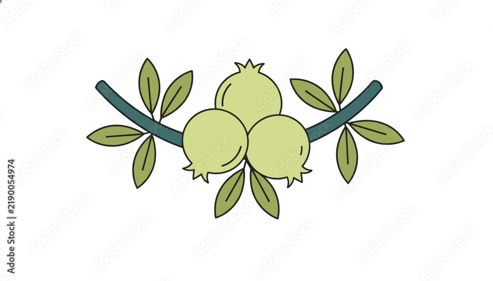 Fototapeta premium Stylized green pomegranate or guava fruits growing on a branch with leaves in a symmetrical vector illustration.