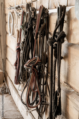 Horse tack and ropes hanging on a wooden stable wall