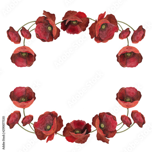 Watercolor composition of red poppy flowers on a white background.