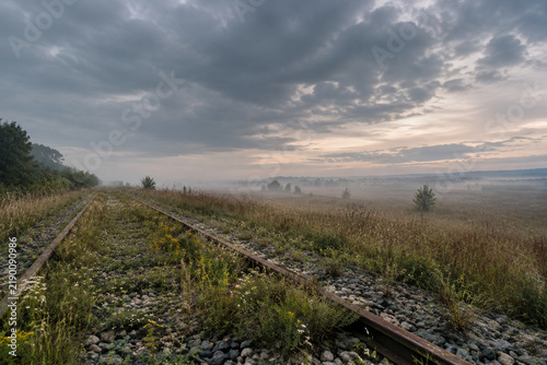 Abandoned railway trackbed with wildflowers and grass, nature reclaiming and quiet solitude concept