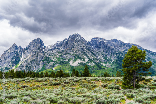 Принти на полотні Mountains with a craggy ridge above sagebrush and a lone pine
