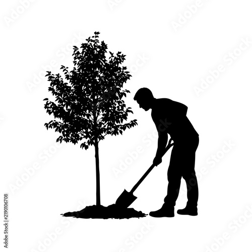 Silhouette of a person digging a hole to plant a young tree with planting tree man silhouette gardening activity planting sapling shoveling soil environmental