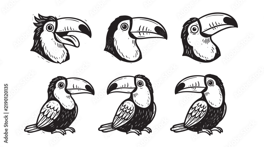 Obraz premium Set of hand drawn toucan bird illustrations in black and white ink sketch style for tropical wildlife design elements and nature themed graphic projects on transparent background