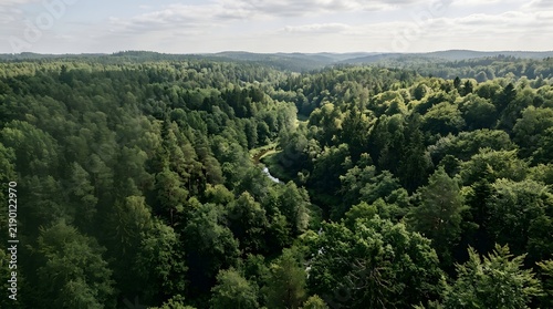 Aerial view of a lush green forest valley with winding river under a bright cloudy sky