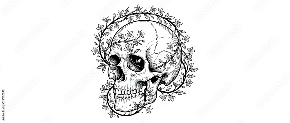 Fototapeta premium Detailed illustration of a human skull adorned with floral vine
