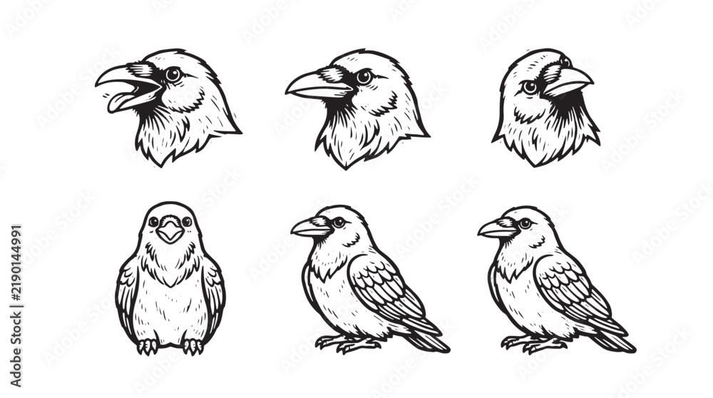 Obraz premium Set of hand-drawn raven and crow illustrations in black and white ink sketch style, featuring various bird poses and head portraits for nature design projects and wildlife graphic elements on