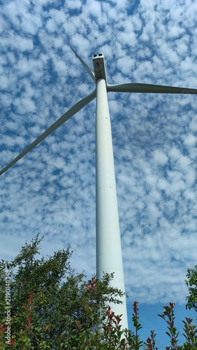 Obraz na płótnie wind power station