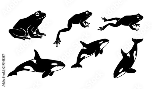 Black and white frog and orca animal silhouette collection vector