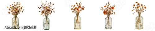 Assortment of dried flowers in clear glass vases creates an elegant and minimalist decorative arrangement