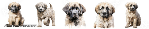 Group of cute pyrenean mastiff puppies posing against a black background in a painting style