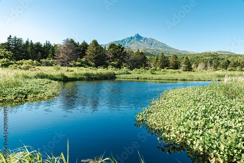 Mount Rishiri seen over a coniferous forest and the blue water of Lake Otatomari under a clear blue sky in early summer