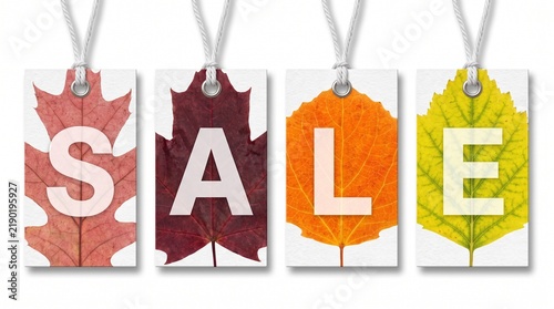 Four hanging paper tags with autumn leaves and the letters spelling sale against a white background with retail