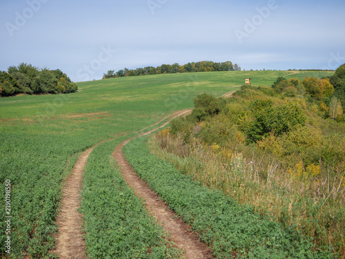 Green alfalfa field crossed by a dirt track with a hunting stand near the woodland edge, showing agricultural countryside and early autumn rural landscape.
