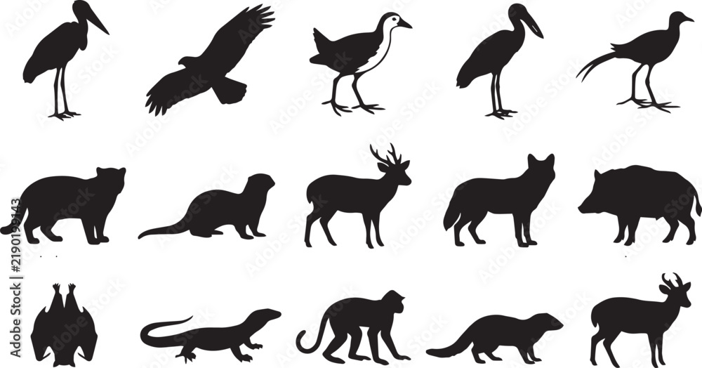 Obraz premium Set of black silhouettes of tropical asian fauna, including birds, mammals, and a lizard, with identifying text labels on a white background