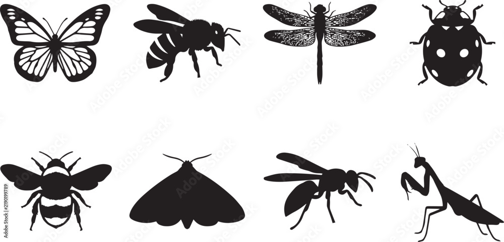 Fototapeta premium Set of eight black insect silhouettes including butterfly, bee, dragonfly, ladybug, bumblebee, moth, wasp, and praying mantis on white background