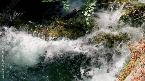 Forest stream and rushing cascade.
