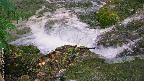 Forest cascade and mossy stream.