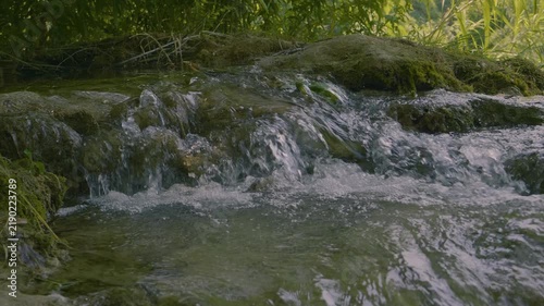 Gentle forest stream and mossy cascade.