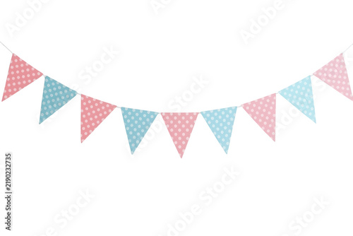 Curved pastel pennant party garland