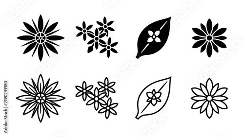 Floral Motifs Collection: A graphic collection of stylized floral elements, including intricate flowers and a decorative leaf, presented in both solid black and outline versions.