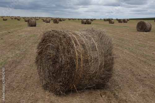 Картината върху платно Vue d'ensemble d'un champ dans la Somme en France, avec des balles de paille de lin dispersées, et un rouleau au premier plan