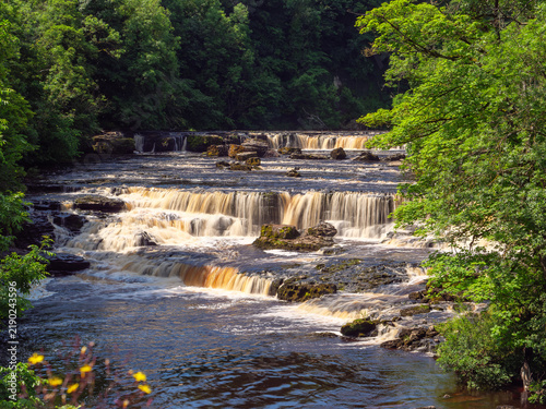 Der Ure Fluss an den Aysgarth Falls bei Leyburn