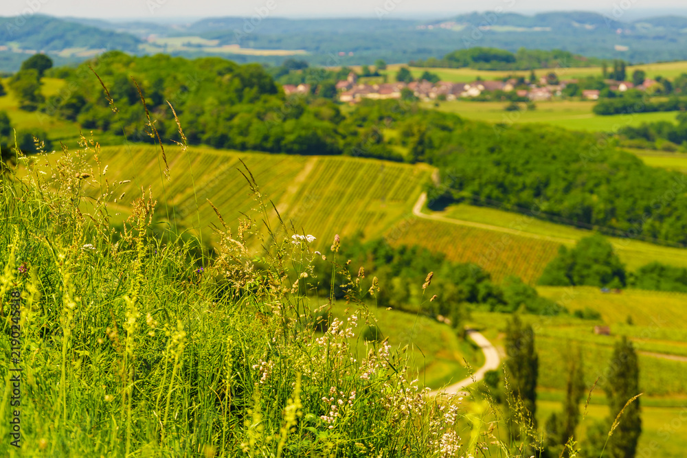 Obraz premium Green landscape in Pupillin commune, Jura wine region, Bourgogne-Franche-Comte in France.