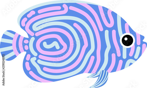 Juvenile Emperor Angelfish Blue and Pink Swirl Pattern Tropical Marine Fish Vector Illustration Isolated on White Background