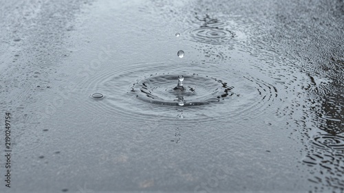 Raindrop Bubbles on Puddle Surface