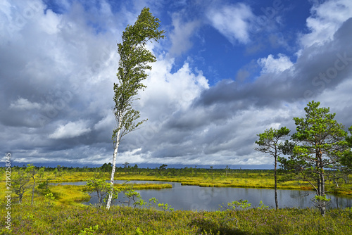 Soomaa National Park (Estonian: Soomaa rahvuspark) is a national park in south-western Estonia. Soomaa National Park is a Wilderness Capital of Estonia. Soomaa translates as Land of Mires.