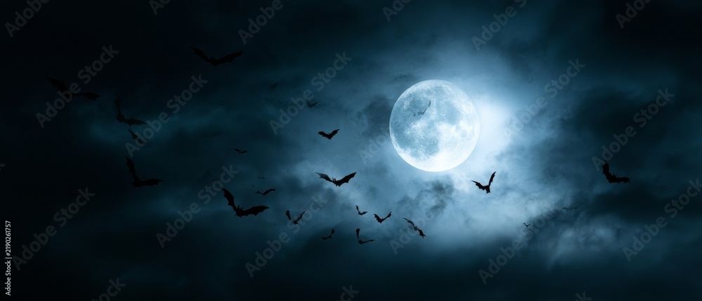 Obraz premium Bats flying against full moon in night sky