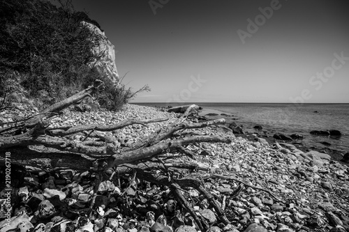 Cape Arkona White Rocks in B&W